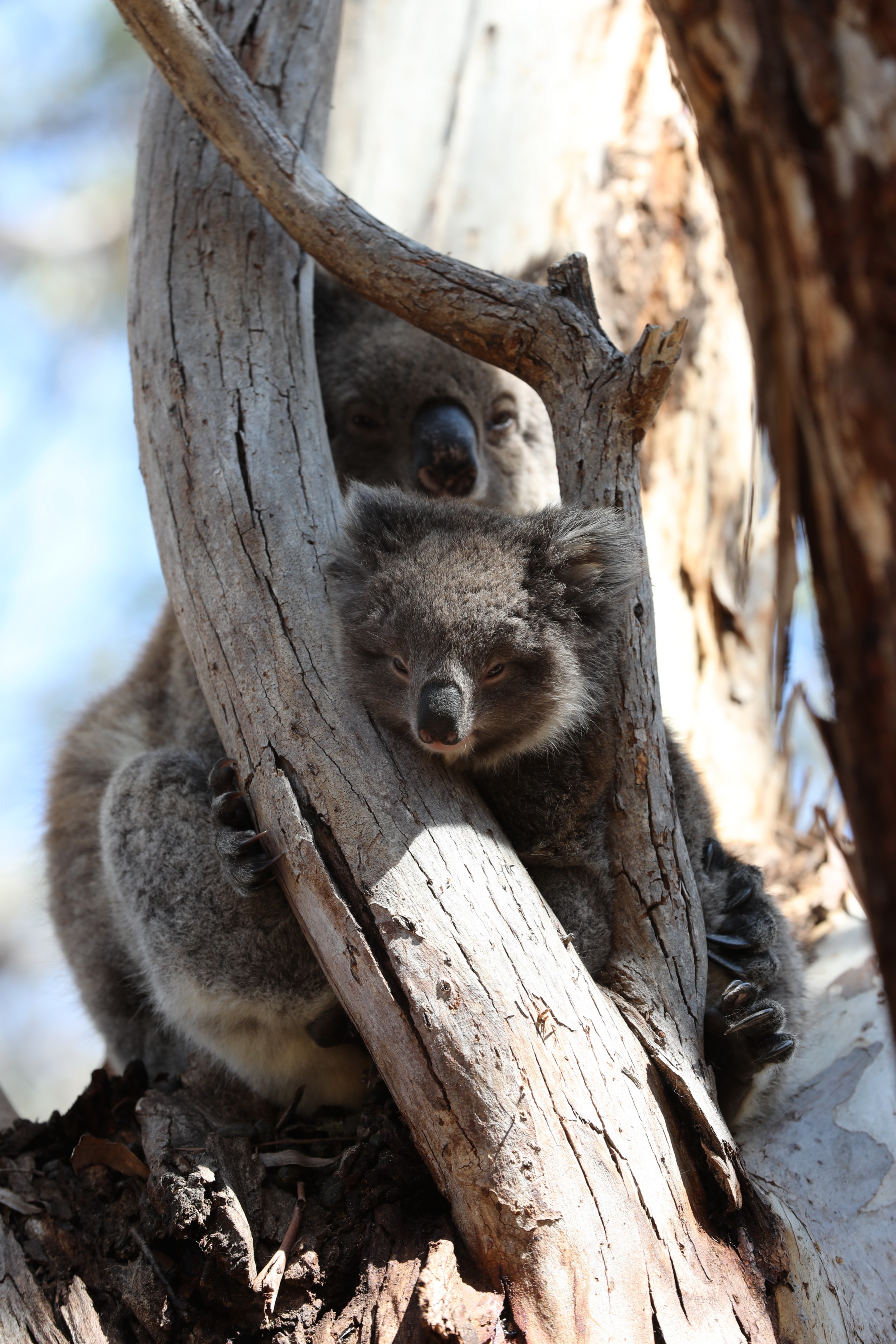 2019 10 01 11 43 22 Canon EOS 5D Mark IV 0013